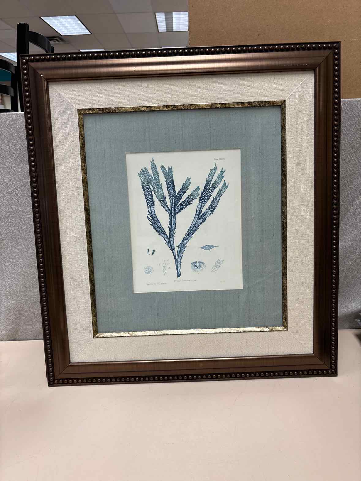 CORAL ARTWORK