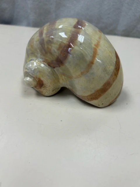 SEASHELL