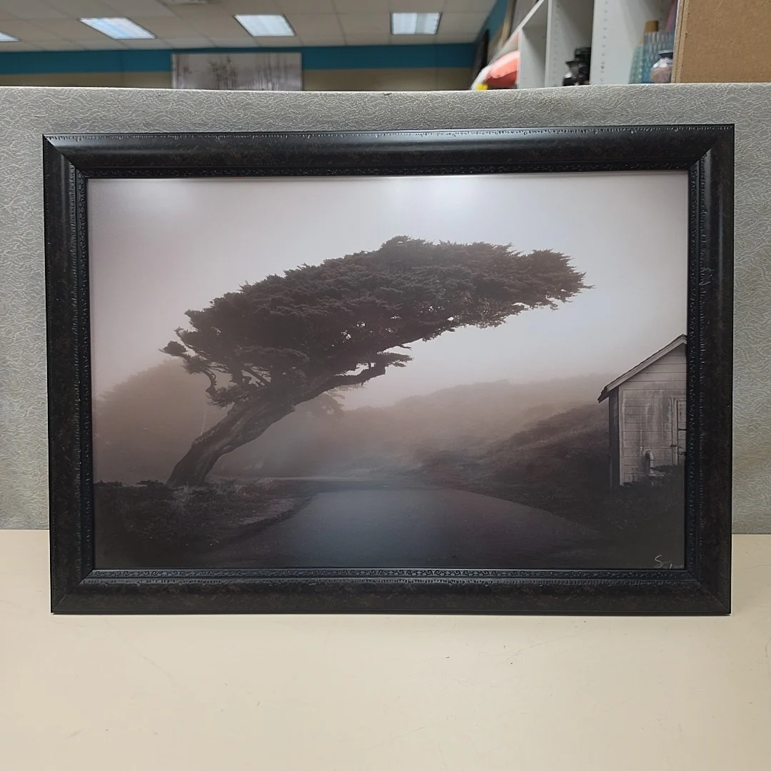 TREE WITH HOUSE